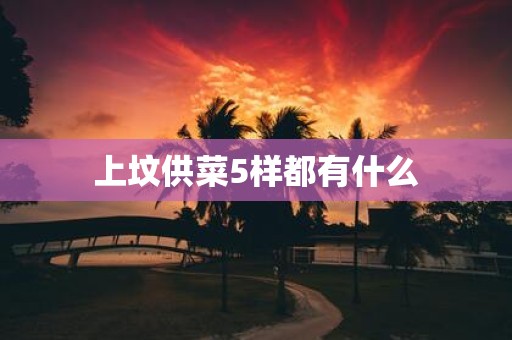 上坟供菜5样都有什么