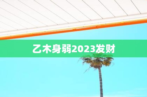 乙木身弱2025发财