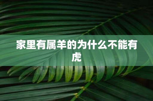 家里有属羊的为什么不能有虎