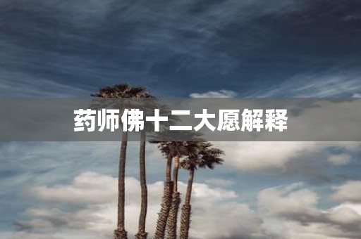药师佛十二大愿解释