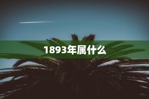 1893年属什么