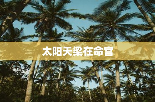 太阳天梁在命宫