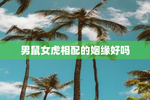 男鼠女虎相配的姻缘好吗