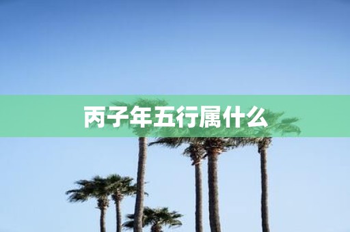 丙子年五行属什么