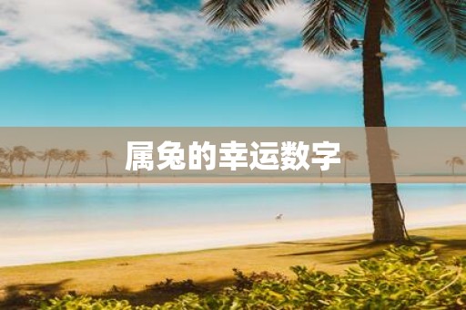 属兔的幸运数字