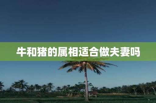 牛和猪的属相适合做夫妻吗
