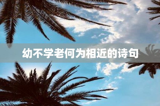 幼不学老何为相近的诗句