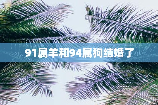 91属羊和94属狗结婚了