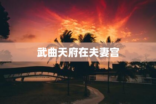 武曲天府在夫妻宫