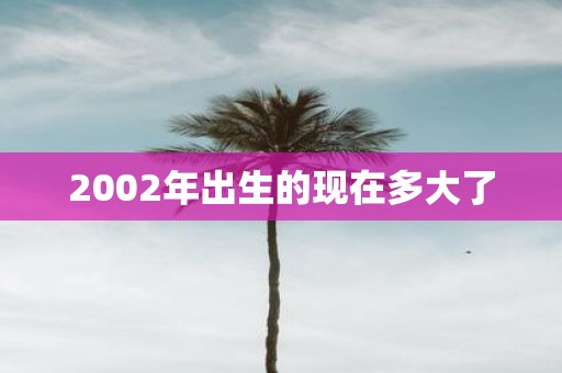 2002年出生的现在多大了