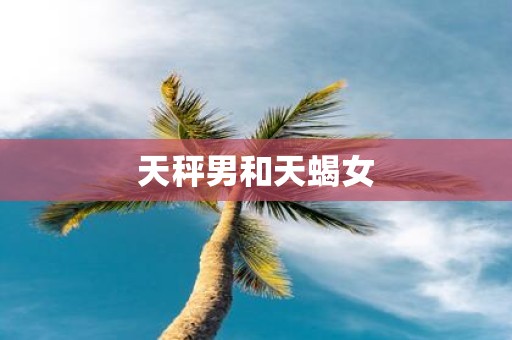 天秤男和天蝎女