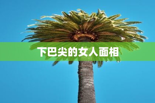 下巴尖的女人面相