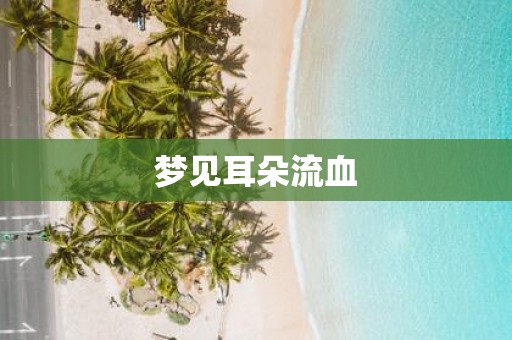 梦见耳朵流血