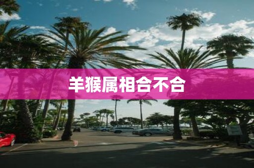 羊猴属相合不合