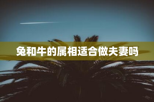 兔和牛的属相适合做夫妻吗