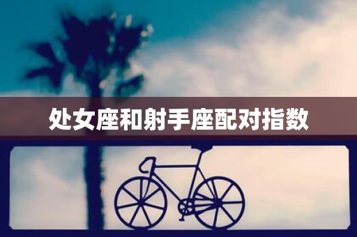 处女座和射手座配对指数
