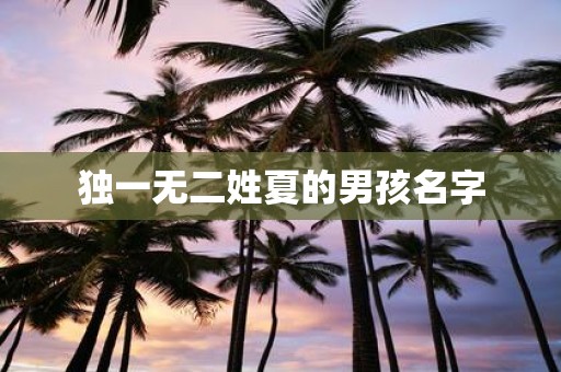 独一无二姓夏的男孩名字