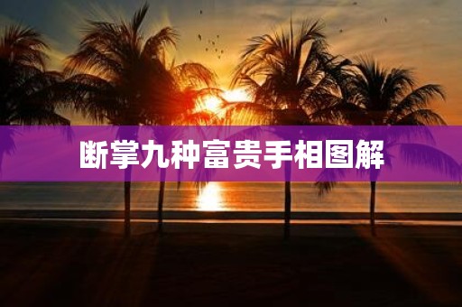 断掌九种富贵手相图解