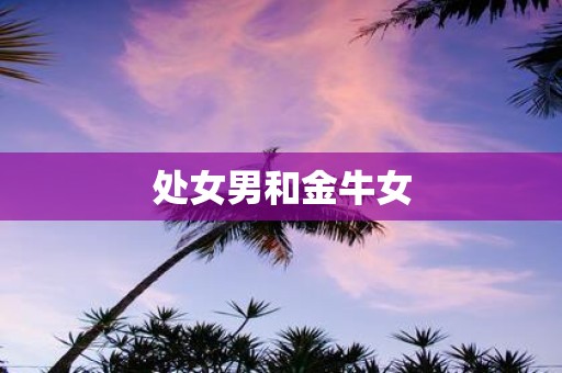 处女男和金牛女