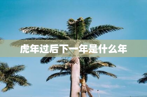虎年过后下一年是什么年