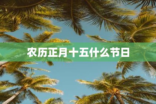 农历正月十五什么节日