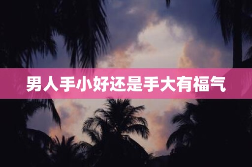 男人手小好还是手大有福气