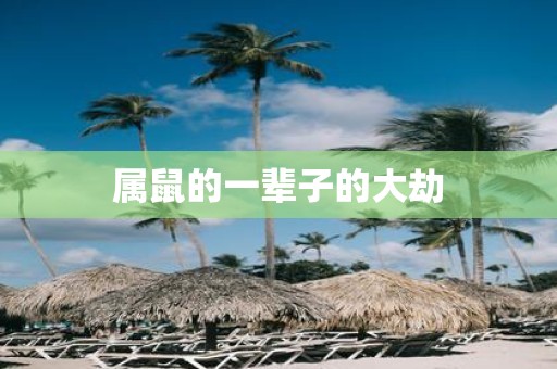 属鼠的一辈子的大劫