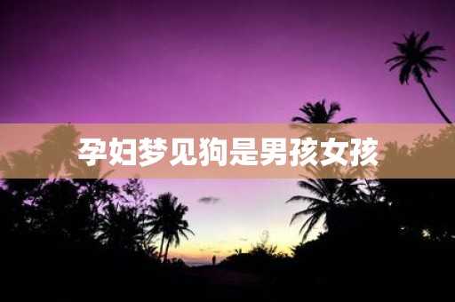 孕妇梦见狗是男孩女孩