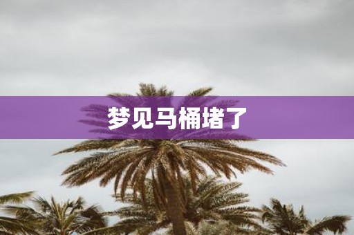 梦见马桶堵了