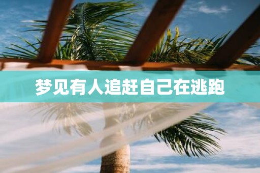 梦见有人追赶自己在逃跑