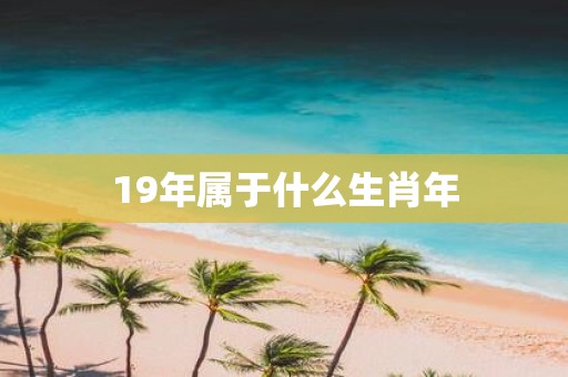 19年属于什么生肖年