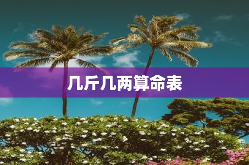 几斤几两算命表