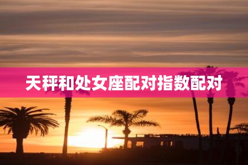 天秤和处女座配对指数配对
