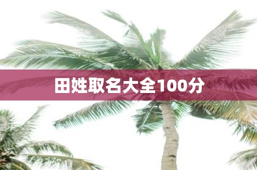 田姓取名大全100分