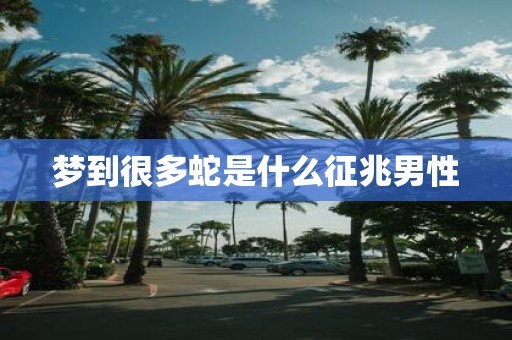 梦到很多蛇是什么征兆男性