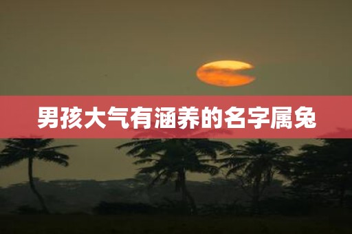 男孩大气有涵养的名字属兔