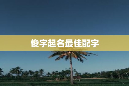 俊字起名最佳配字