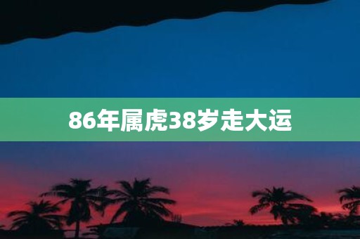 86年属虎38岁走大运