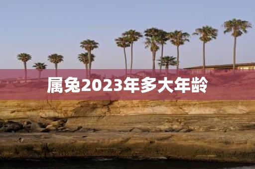 属兔2025年多大年龄
