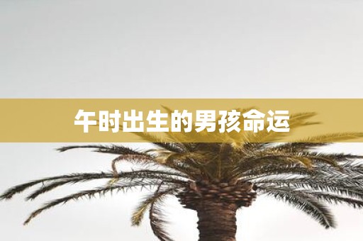 午时出生的男孩命运