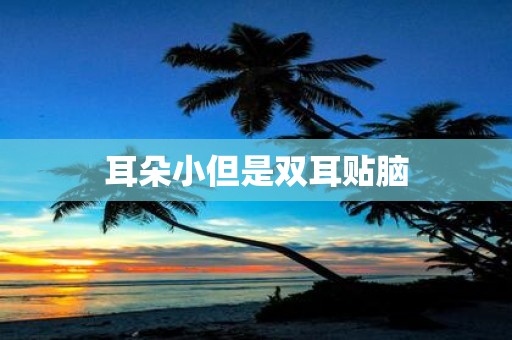 耳朵小但是双耳贴脑