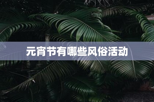 元宵节有哪些风俗活动