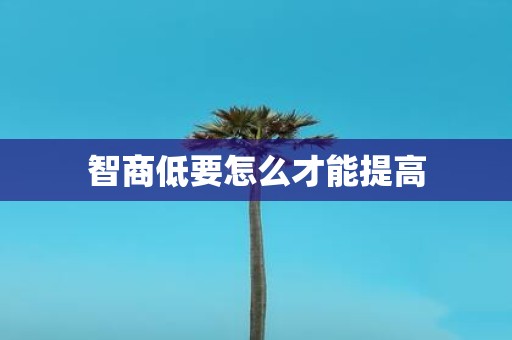 智商低要怎么才能提高