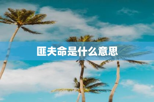 匪夫命是什么意思
