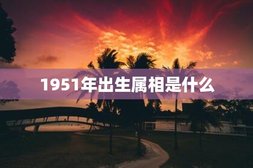 1951年出生属相是什么