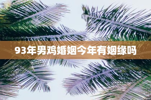 93年男鸡婚姻今年有姻缘吗
