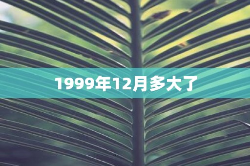 1999年12月多大了