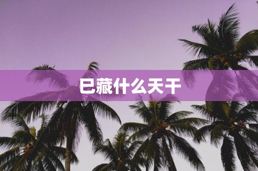 巳藏什么天干