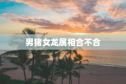 男猪女龙属相合不合