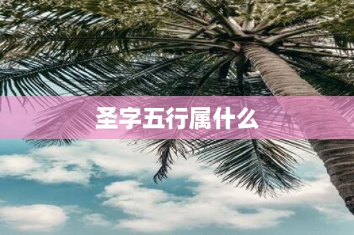 圣字五行属什么